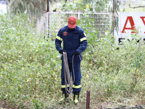 Επίθεση αρκούδας στη Δράμα: «Οι ορειβάτες έκαναν τρία λάθη»