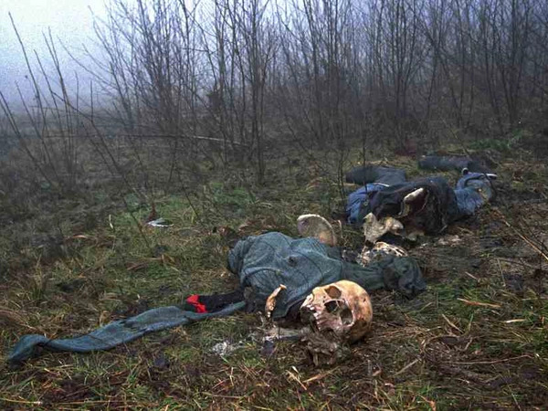 Η φρικτή σφαγή της Σρεμπρένιτσα και η συμμετοχή Ελλήνων ακροδεξιών (vid)