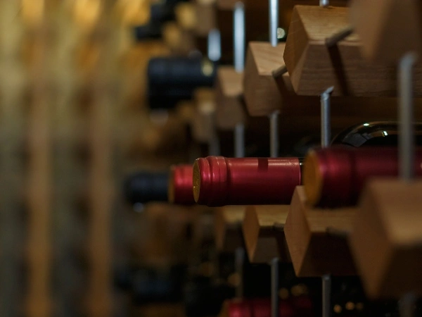 Wine & Wisdom: Οι οίνοι ΠΓΕ μέσα από τον φακό της υπευθυνότητας